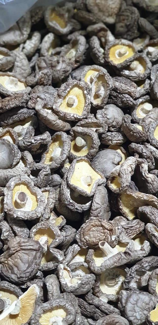 Nấm hương khô Sa Pa